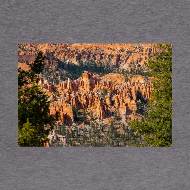 Bryce Canyon View 10 by Rob Johnson Photography